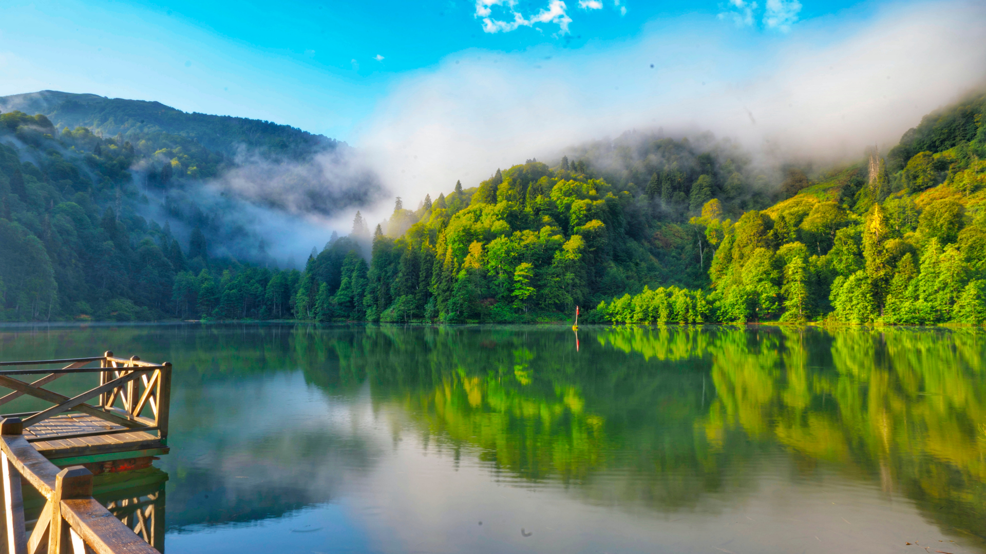 artvin