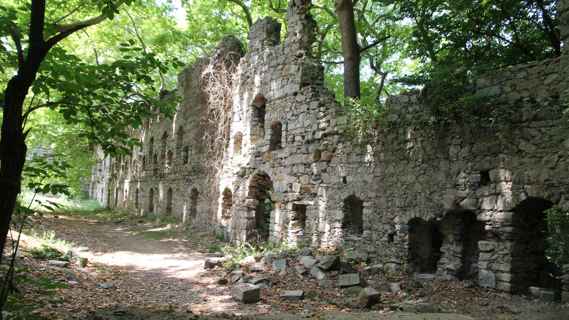 balık