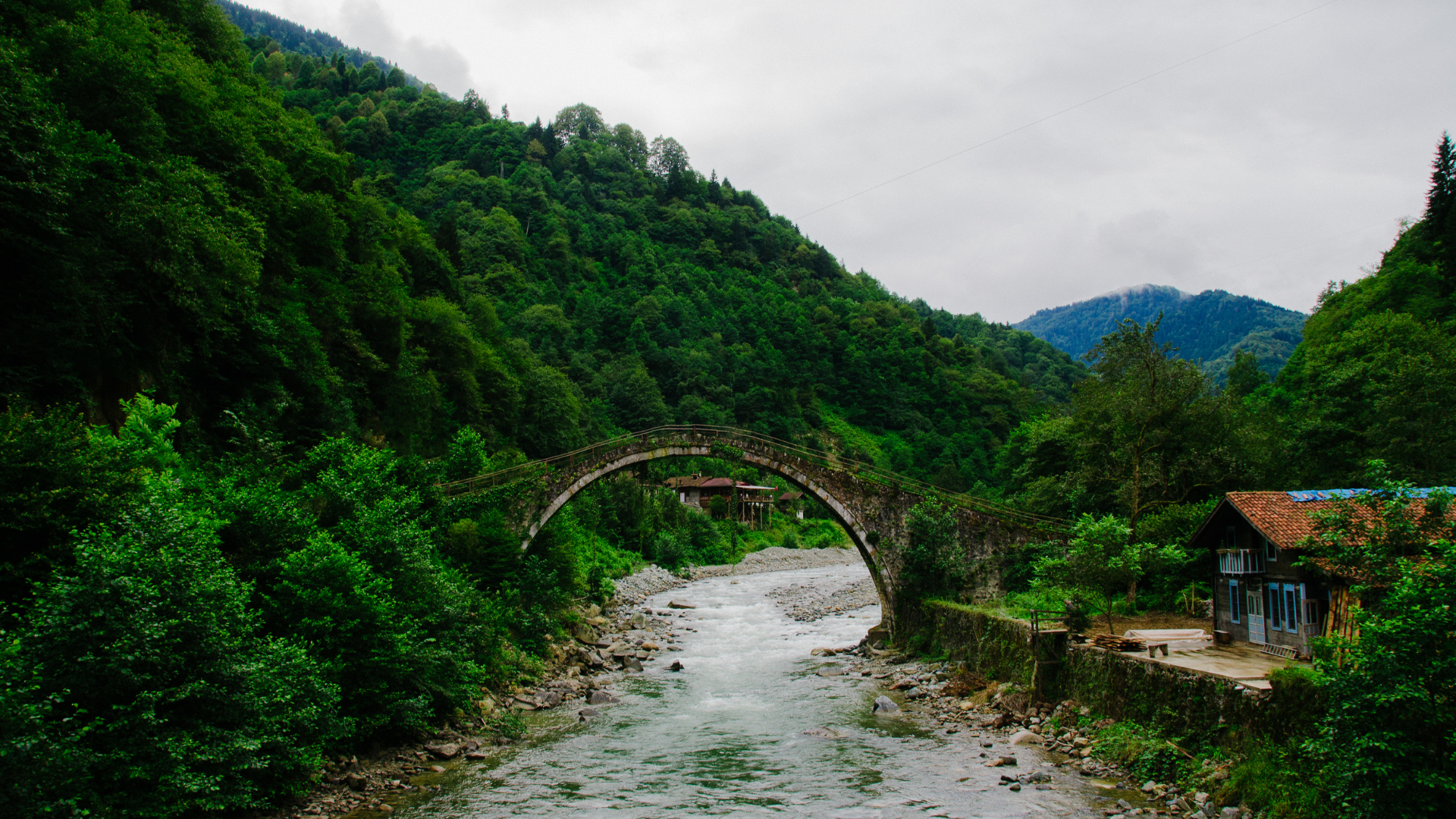 rize
