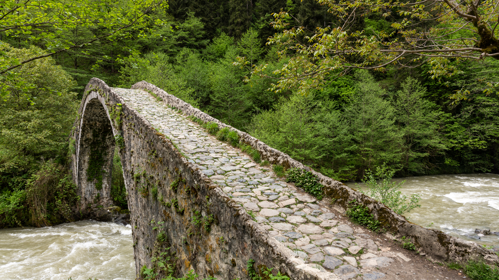 rize3